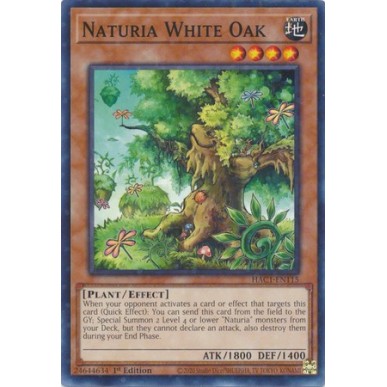 Naturia Quercia Bianca (V.2 - Duel...