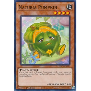 Naturia Zucca (V.1 - Common)