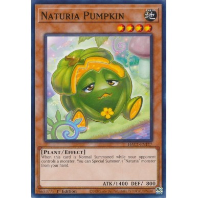 Naturia Zucca (V.1 - Common)