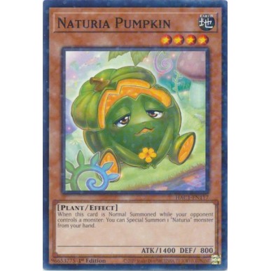 Naturia Pumpkin (V.2 - Duel Terminal...