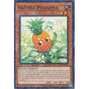 Naturia Ananas (V.2 - Duel...