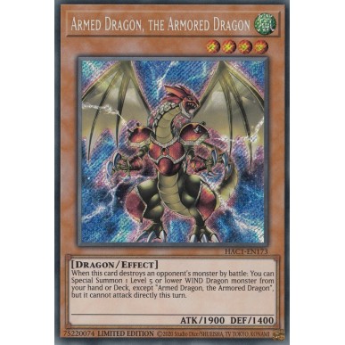 Drago Armato, il Drago Armatura