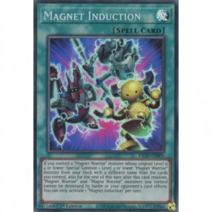 Induzione Magnetica
