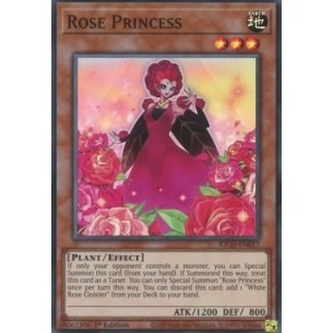 Principessa Rosa