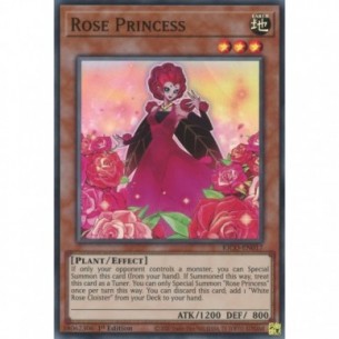 Principessa Rosa