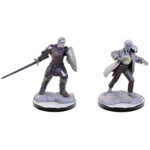 Nolzur's Marvelous Miniatures - Reborn Paladin & Warlock 2