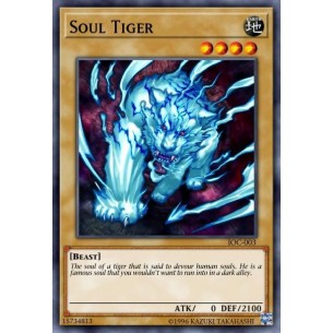 Tigre dell'Anima