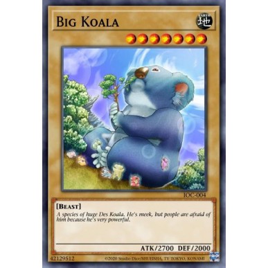Big Koala