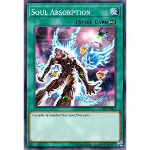 Soul Absorption