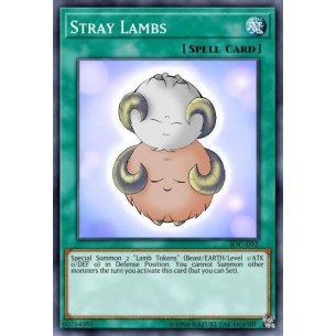Stray Lambs