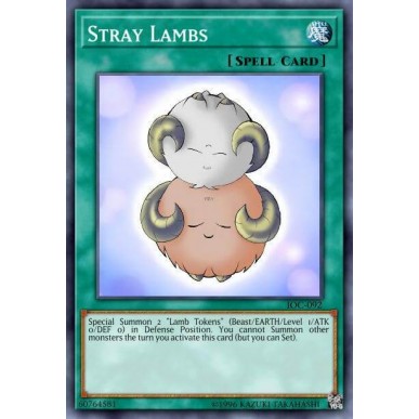 Stray Lambs