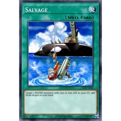 Salvage