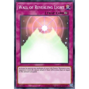 Wall of Revealing Light