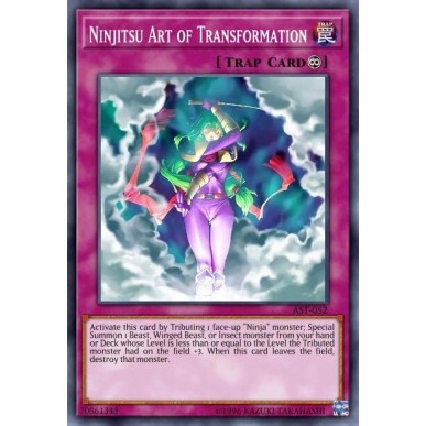 Arte della Trasformazione Ninjitsu