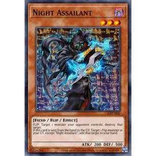 Night Assailant