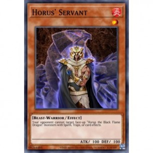 Servitore di Horus