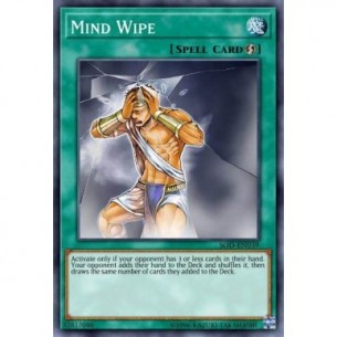 Mind Wipe