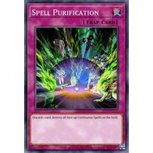 Spell Purification