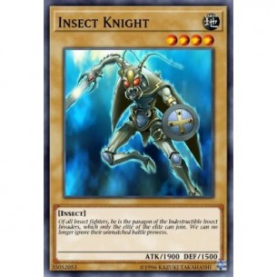Insect Knight