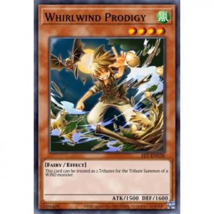 Whirlwind Prodigy