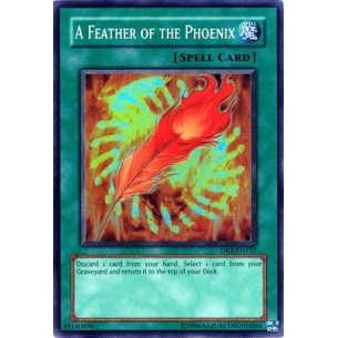 A Feather of the Phoenix