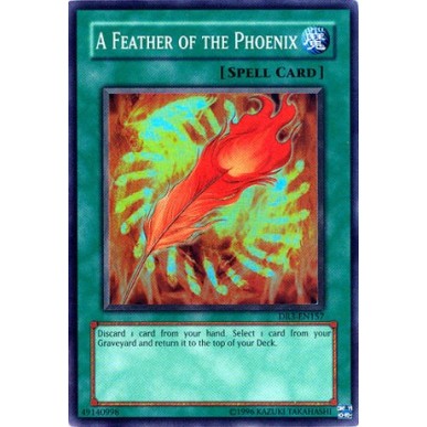 A Feather of the Phoenix