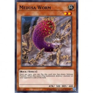 Verme Medusa