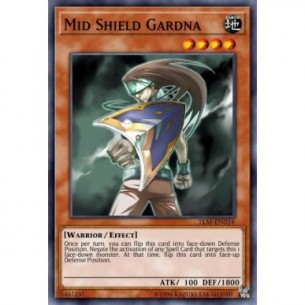 Mid Shield Gardna