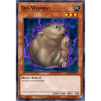 Des Wombat