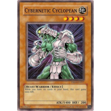 Cybernetic Cyclopean