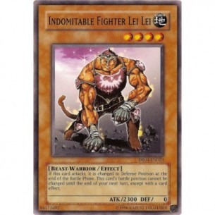 Lei Lei Guerriero Indomabile