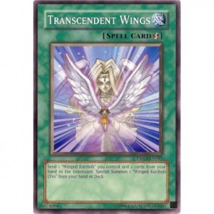 Transcendent Wings