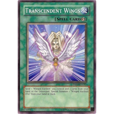 Transcendent Wings