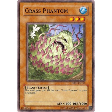 Grass Phantom