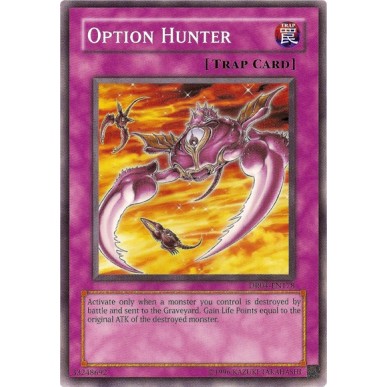 Option Hunter