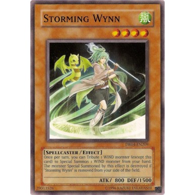 Storming Wynn