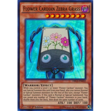 Flower Cardian Zebra Grass