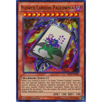 Flower Cardian Paulownia