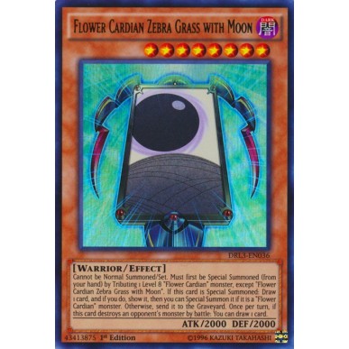 Flower Cardian Zebra Grass with Moon