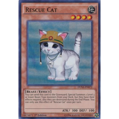 Gatto da Soccorso