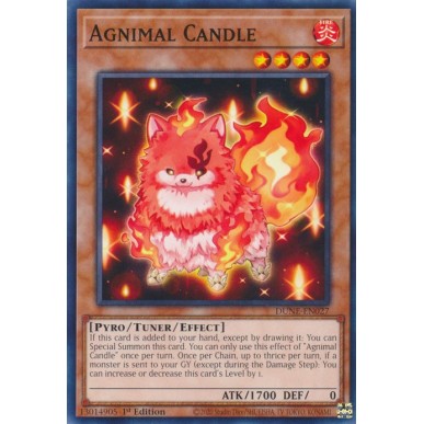Agnimal Candle