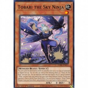 Tobari il Ninja del Cielo
