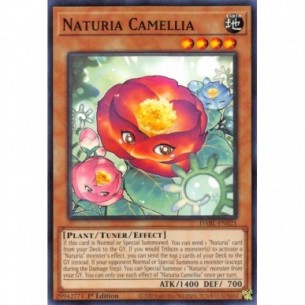 Naturia Camelia