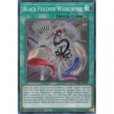 Black Feather Whirlwind