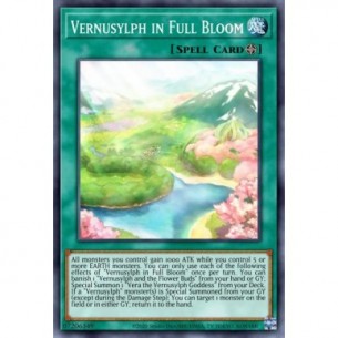 Vernusylph in Full Bloom