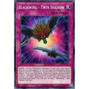 Blackwing - Twin Shadow