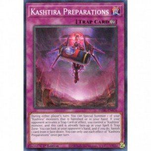 Preparazioni Kashtira