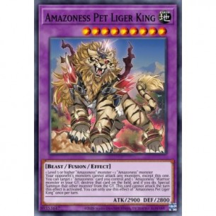 Amazoness Pet Liger King