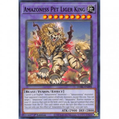 Re Ligre Domestico Amazoness