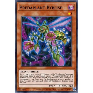 Predapianta Byblisp